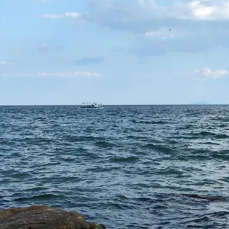 Coral корал бийч * Sveti Vlas