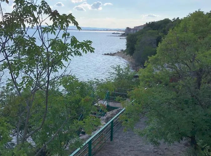 Coral корал бийч 스베티 블라스